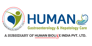 Human Gastro